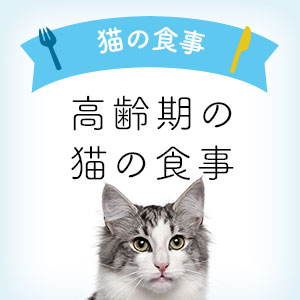 獣医師監修 高齢期の猫の食事 7才 高齢期猫向けキャットフード 猫ねこ部