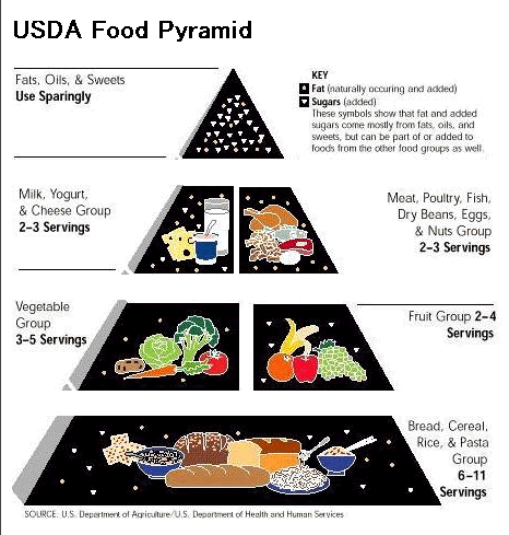 USDA食品指導ピラミッド