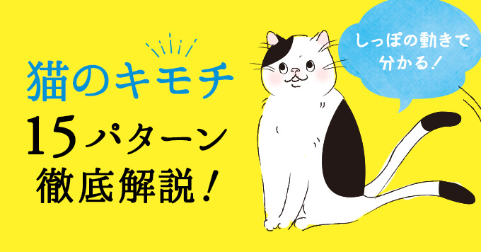 猫のしっぽの動きで気持ちが分かる！15パターンを徹底解説