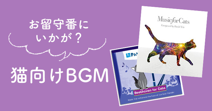 お留守番にいかが？猫向けBGM