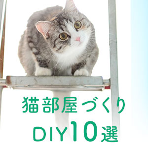 猫が快適に暮せる部屋づくり 10のdiyアイデア 猫ねこ部