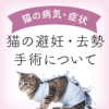 【獣医師監修】猫の避妊・去勢手術について