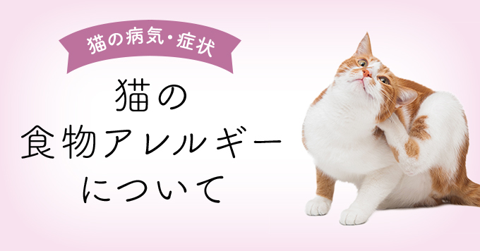 バレル 機関 急いで アレルギー 猫 餌 Daijisin Taiou Com