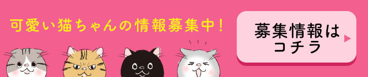 あなたの可愛い猫ちゃん情報随時募集中