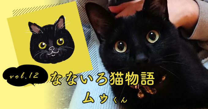 なないろ猫物語Vol.12｜「ムゥ」～母猫の最後の愛情で救われた命