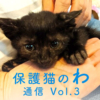 保護猫のわ通信Vol.3｜譲渡について