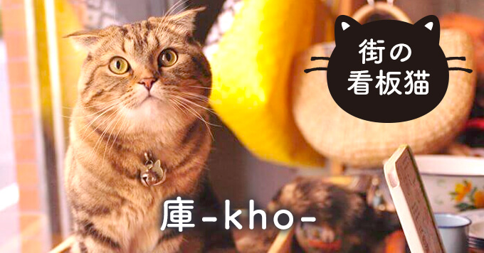 【看板猫】地域の人に愛される「入船のプリンス」のぶにゃがくん～庫-kho-