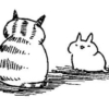 漫画家・相澤いくえ先生インタビュー～いろんな猫の現状に想いを寄せてほしい