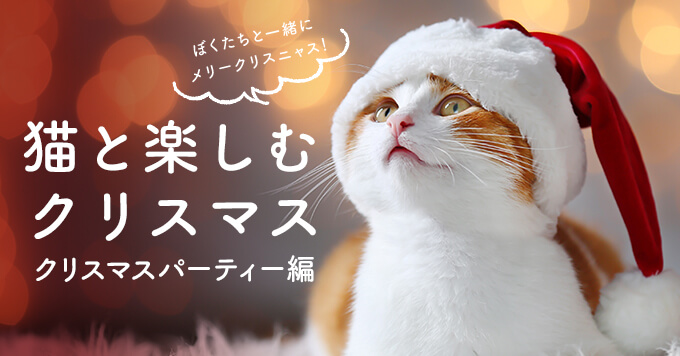 猫と楽しむクリスマス「クリスマスパーティー編」