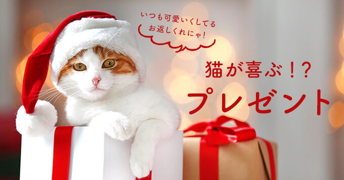 2019猫さまへ贈りたいクリスマスプレゼント～きっと喜んでくれるおすすめ12選～