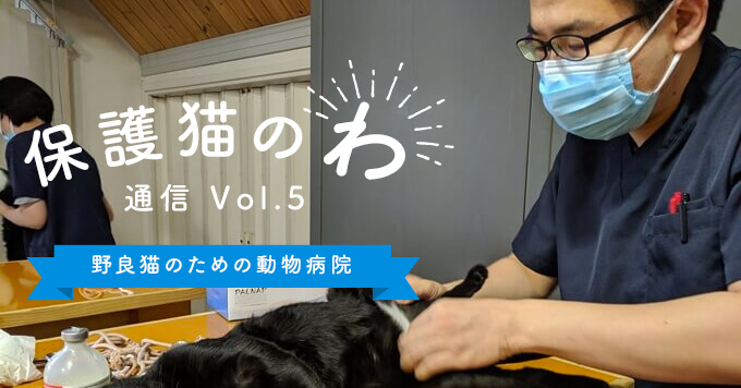 保護猫のわ通信Vol.5｜TNR不妊手術を行う獣医師へインタビュー「ふー動物病院 亀田博之先生」