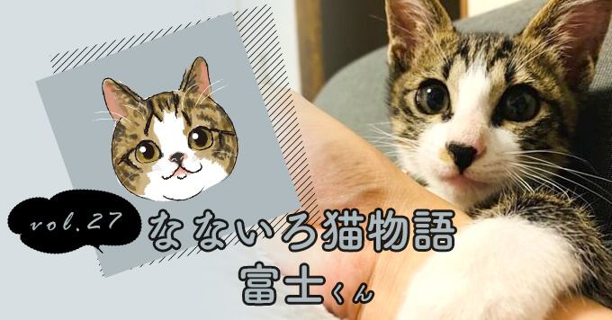 なないろ猫物語Vol.27｜「富士」～保健所で殺処分寸前だった子猫を救って