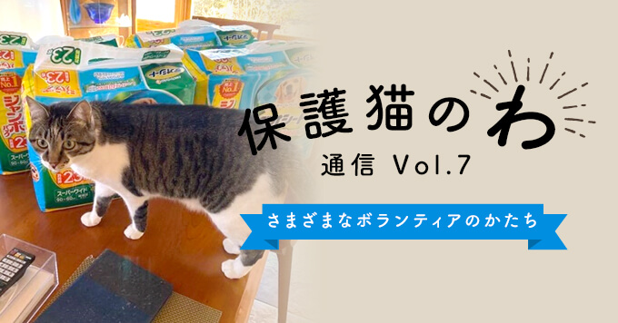 保護猫のわ通信Vol.7｜さまざまなボランティアのかたち