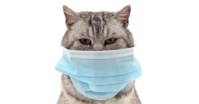 【新型コロナウイルス】「飼い主さんが感染したらお世話できる人に預けて」東京都獣医師会が発信