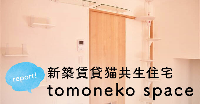 本当に賃貸！？猫にも人にも優しい新築賃貸猫共生住宅「tomoneko space」