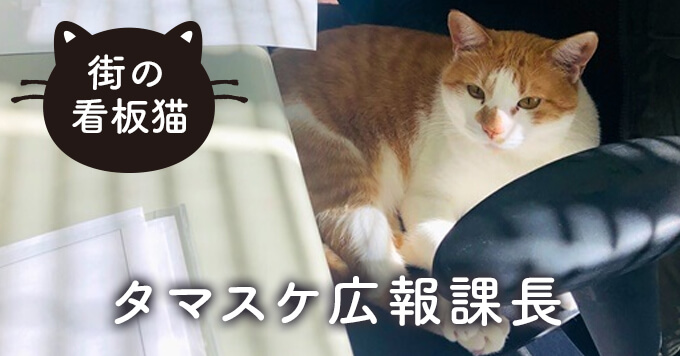 【パワフルな招き猫】防災発信に勤しむタマスケ広報課長が話題！