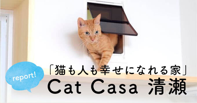 猫好きが作った「猫も人も幸せになれる家」Cat Casa（キャットカーサ ）清瀬