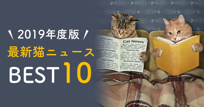 「2019年度一番読まれたのは？」猫ねこ部最新ニュース記事人気BEST10！