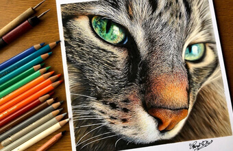 え？写真じゃないの？」今にも動き出しそうなリアルな猫の絵が