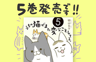 【おうち時間のお供に】大人気猫漫画「うちの猫がまた変なことしてる。」発売！～卵山玉子さん