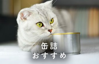 缶詰タイプキャットフードの選び方とおすすめ8選 猫ねこ部