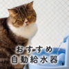 猫の自動給水器おすすめ12選【選び方のポイントも紹介】