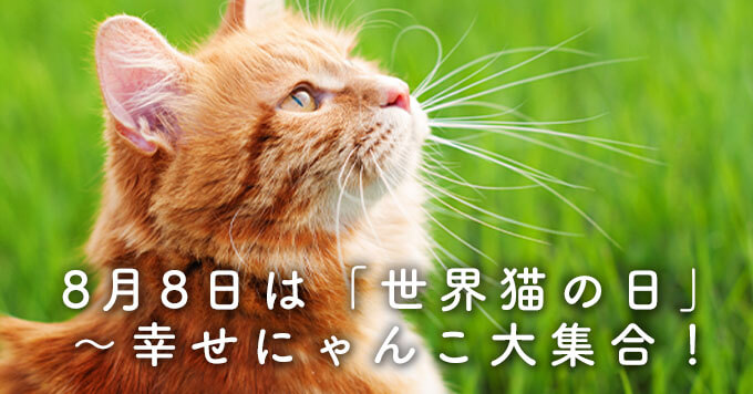 8月8日は「世界猫の日」～幸せにゃんこ大集合！【40ニャン掲載】
