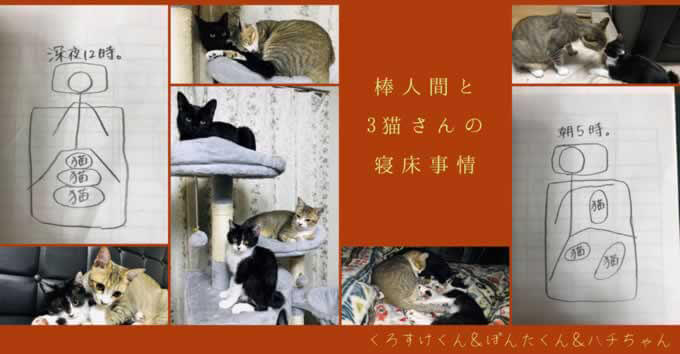 3猫さんの寝床事情 棒人間が隅っこに追いやられるイラストに共感の声続々 猫ねこ部