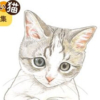 【猫塗り絵】素敵なおとな趣味のご提案「かわいい猫 癒しのもふもふ大集合」発売中です