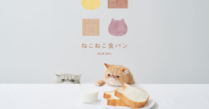 猫型【ねこねこ食パン】が7月限定「トロピカルチョコバナナ」を新発表～！