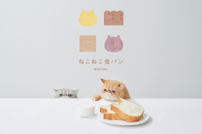 猫食パン