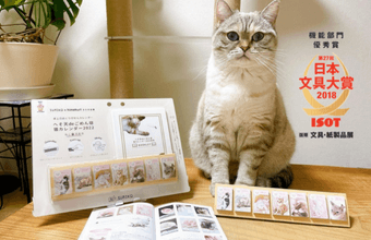 付箋代わりに♪集めて図鑑に♪新感覚の日めくり猫カレンダー！