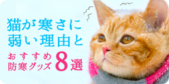 【獣医師監修】猫が寒さに弱いと言われる3つの理由とおすすめ防寒グッズ8選
