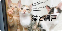 猫の網戸へのいたずらについて、その理由や対策をご紹介します