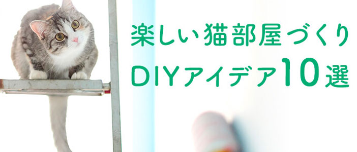 猫が快適に暮せる部屋づくり～10のDIYアイデア～