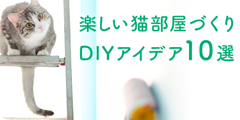 猫が快適に暮せる部屋づくり～10のDIYアイデア～