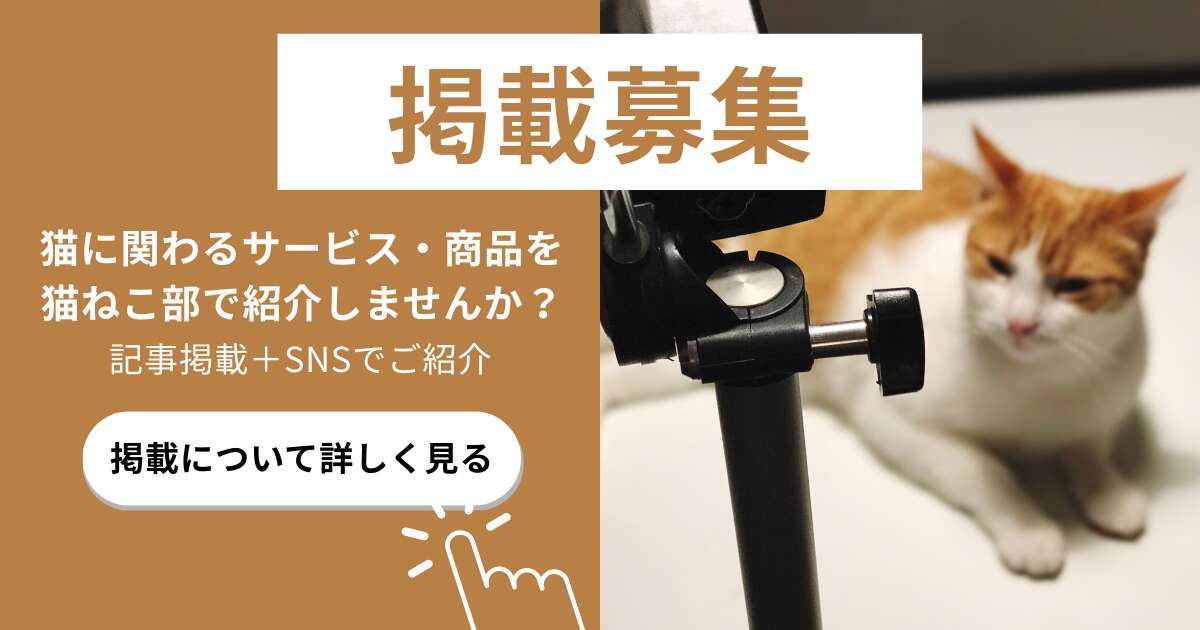猫に関わるサービス・商品の掲載募集｜猫ねこ部